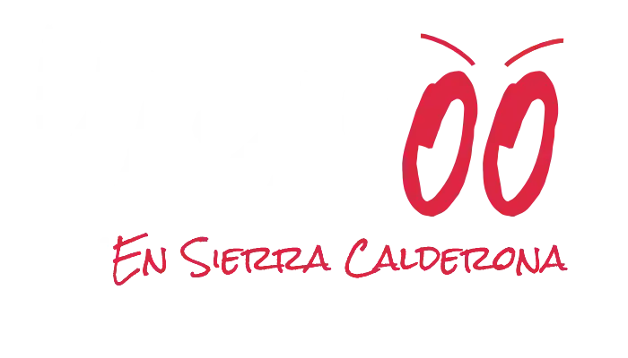 Logo yapayoo