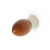 Pomo Madera Lodi Nogal Rojizo / Niquel Ral Ø16Mm