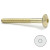 Tornillo Cabeza Bombata Allen Latonado 6-100 (100 uds.)