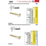 Tornillo Cabeza Bombata Allen Latonado 6-100 (100 uds.)