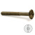 Tornillo Cabeza Bombata Komby Bronce M6-15 (100 uds.)