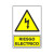 Señal 312 Plast.420X297"Riesgo Electric"