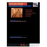 Quitamanchas Tapiceria Tapiclean 1L
