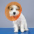 Collar Protector Isabelino 20Cm - Diámetro 36-45Cm