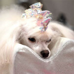 Plásticos Reutilizables Para Paquetitos Hologram Azul 100 Tiras