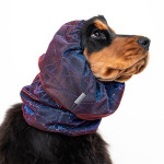 Protector De Orejas Spaniel Luxe Royal Azul