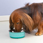 Comedero Acero Inox Geonet Rosa 400 Ml