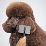 Carda Infinity Silver Ibáñez