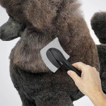 Carda Infinity Silver Ibáñez