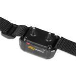 Collar Adicional Dogtrace Edge