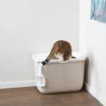 Wc Gatos Hop In Giant