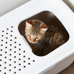 Wc Gatos Hop In Giant