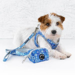 Arnés Acolchado Ibáñez Glam Mosaic Azul Talla L
