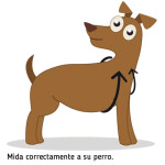 Arnés Acolchado Ibáñez Glam Dots Rosa Talla M