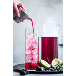 Molde para Cubitos de Hielo Quttin Silicona 24 x 10 x 2,5 cm (24 Unidades)