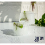 Molde para Cubitos de Hielo Quttin 36 x 13 x 3,5 cm (18 Unidades)