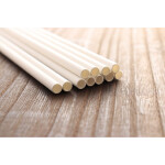 Pajita Reutilizable Algon 19,7 x 0,6 cm 25 Piezas 24 Unidades