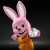 Pilas DURACELL 3V (10 Unidades)
