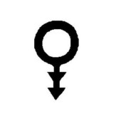 Junta Aislante Para Puerta June - Goma Termofusible Negra Ø6 Mm 100 M