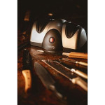 Afilador Eléctrico Camry CR 4469 Plata Plástico