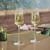 Copa de champán Chef & Sommelier Symetrie Transparente Vidrio 210 ml Champán 6 Unidades