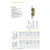 Cerradura Para Madera Tesa 130/58C/Ae Ent-50Mm, Dist-70, C/Recto, Latonada