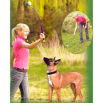Lanzador-Recogedor De Pelota 65Cm