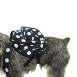 Mochila Para Perros Pequeños Negra Lunares