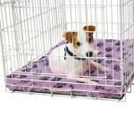 Alfombra Absorbente 2000 G./M. Celeste Con Huellas Antideslizante 1M X 0.75M