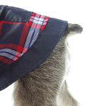 Chubasquero Con Capucha 40Cm