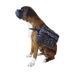 Alforja Para Perros Pequeña