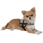 Arnes Teeny-Weeny Jaspeado 15Mm X 26-35 Cm