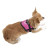 Arnes Teeny-Weeny Jaspeado 15Mm X 26-35 Cm