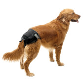 Pañales Para Perros Talla 1 - 32-42Cm - Negro (12 Uds.)