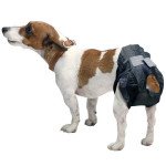 Pañales Para Perros Talla 7 - 74-84Cm - Negro (12 Uds.)
