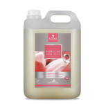 Champú Ibáñez Hydra Care 5 L