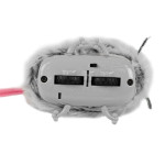 Beasties In Motion - Ratón