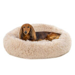 Donut "Caress" Gris 76X17Cm