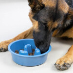 Comedero Melamina Come-Despacio Gris 950 Ml