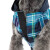 Chubasquero Con Capucha Sky Blue 30Cm