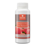 Champú En Seco Ibáñez - Polvo 100 G