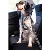 Arnés Coche Con Cinturón Seguridad Ibáñez Dogway M