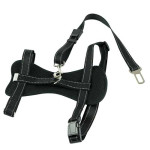 Arnés Coche Con Cinturón Seguridad Ibáñez Dogway M