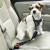Arnés Coche Con Cinturón Seguridad Ibáñez Dogway L
