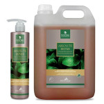 Champú Ibáñez Absolute Repair 500 Ml