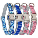 Collar Dots Rosa 2.5X50-65Cm