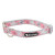 Collar Dots Rosa 2.5X50-65Cm