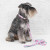 Correa Dog Mosaic Azul 2X120Cm