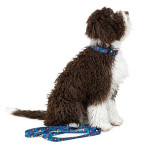 Collar Fantasy Ocean Azul Claro 1.5X30-45Cm