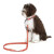 Collar Fantasy Snake Rojo 2.0X40-55Cm